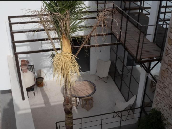 Tigmi Anis Bed and Breakfast Essaouira Eksteriør billede